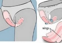 Ona je otkrila ženama da cijelo vrijeme stavljaju uloške pogrešno, evo pravog načina