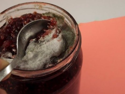 JEDETE LI DŽEM AKO SE NA VRHU UHVATILA SIVA, ČUPAVA BUĐ? Evo šta to znači, skoro niko ne zna pravi odgovor